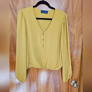 Blue Rain Mustard V-Neck Blouse